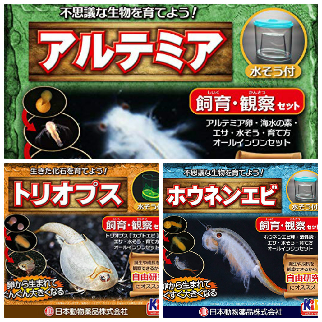 観察飼育キット