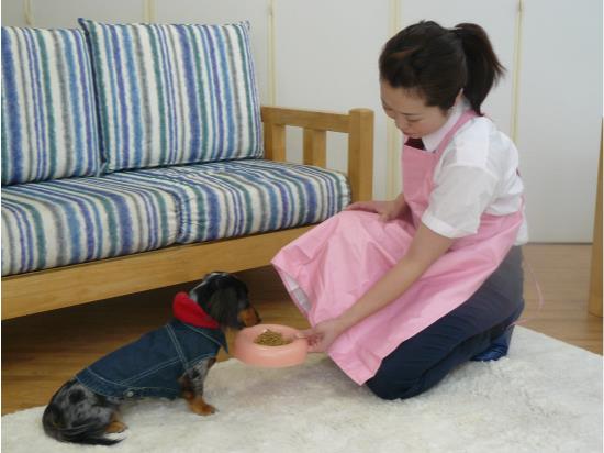 ペットシッター